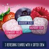 Ягодная жвачка Без сахара EXTRA Refreshers Berry Mix Chewing Gum Sugar free 40шт