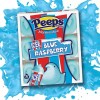 Маршмеллоу на Великдень Peeps Paste Icee Blue Raspberry Chicks Курчата (Блакитна Малина) 127г