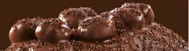 Шоколадная панеттоне с профитролями Bauli Torta La Profiteroles 750г