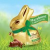 Шоколадний заєць Lindt Gold Bunny Hazelnut з Фундуком 100г